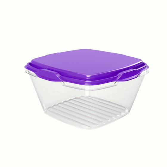 Food container 500ml,  12.4 x 12.4 x 6.7 cm (BPA FREE Polypropyle) Purple lid